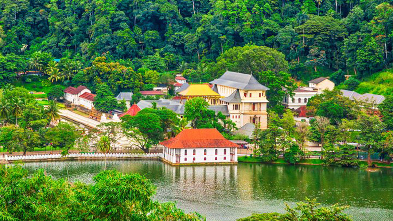 Fototour durch Sri Lanka (5 Tage)