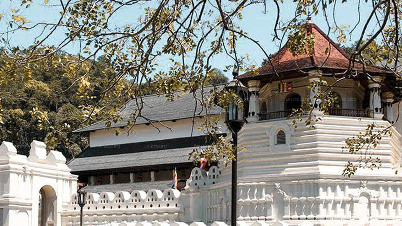 Fototour durch Sri Lanka (5 Tage)