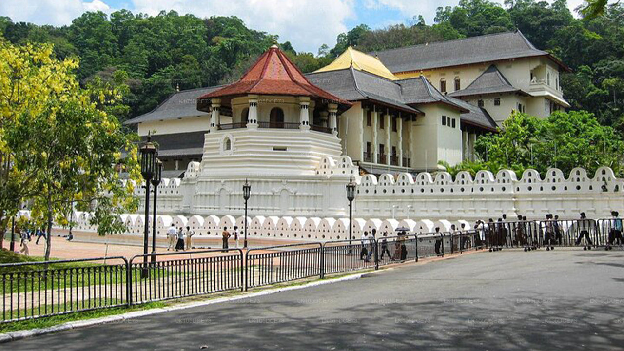 Fototour durch Sri Lanka (5 Tage)