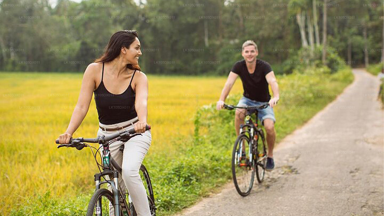 Radtour ins Hügelland (5 Tage)