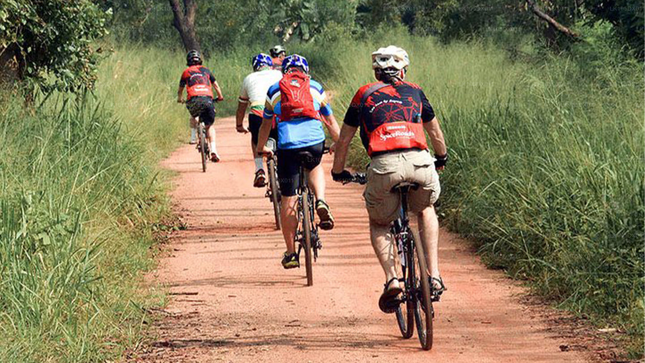 Radtour ins Hügelland (5 Tage)