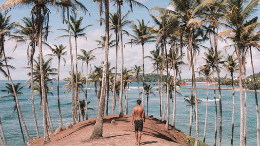 Fototour durch Sri Lanka (6 Tage)