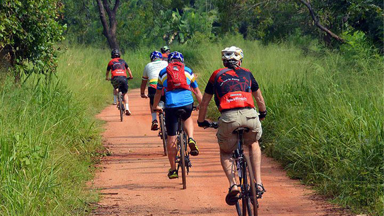 Radtour ins Hügelland (9 Tage)
