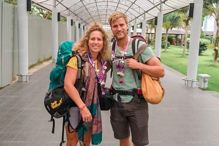 Weltweite Sensation in einem (10 Tage)