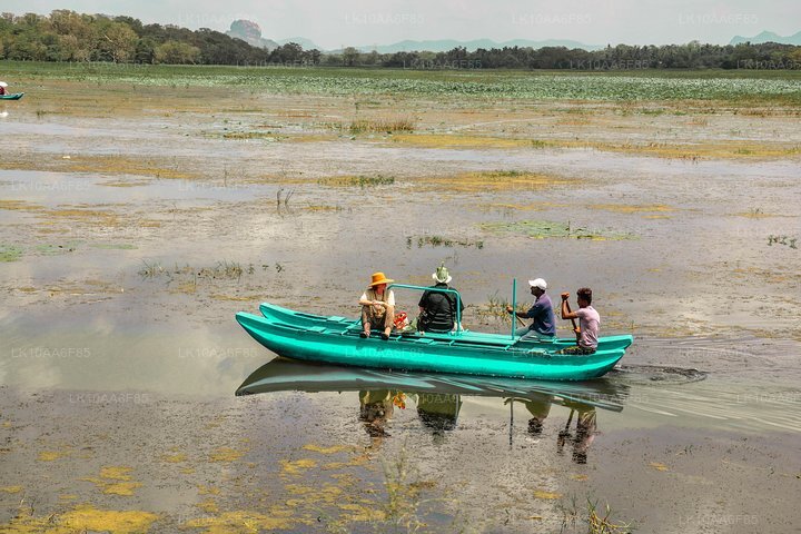 Weltweite Sensation in einem (10 Tage)