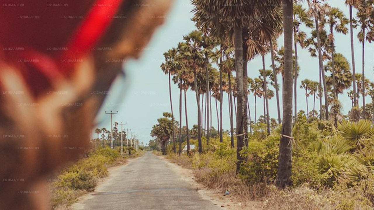 Ausflug in den Osten (10 Tage)