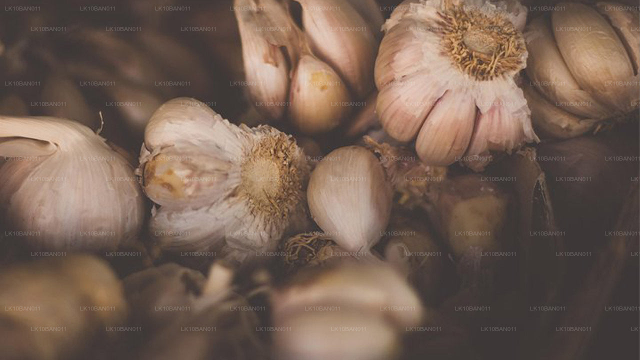 Kulinarische Expedition (11 Tage)