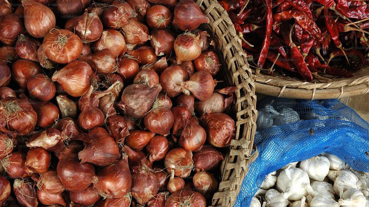 Kulinarische Expedition (11 Tage)