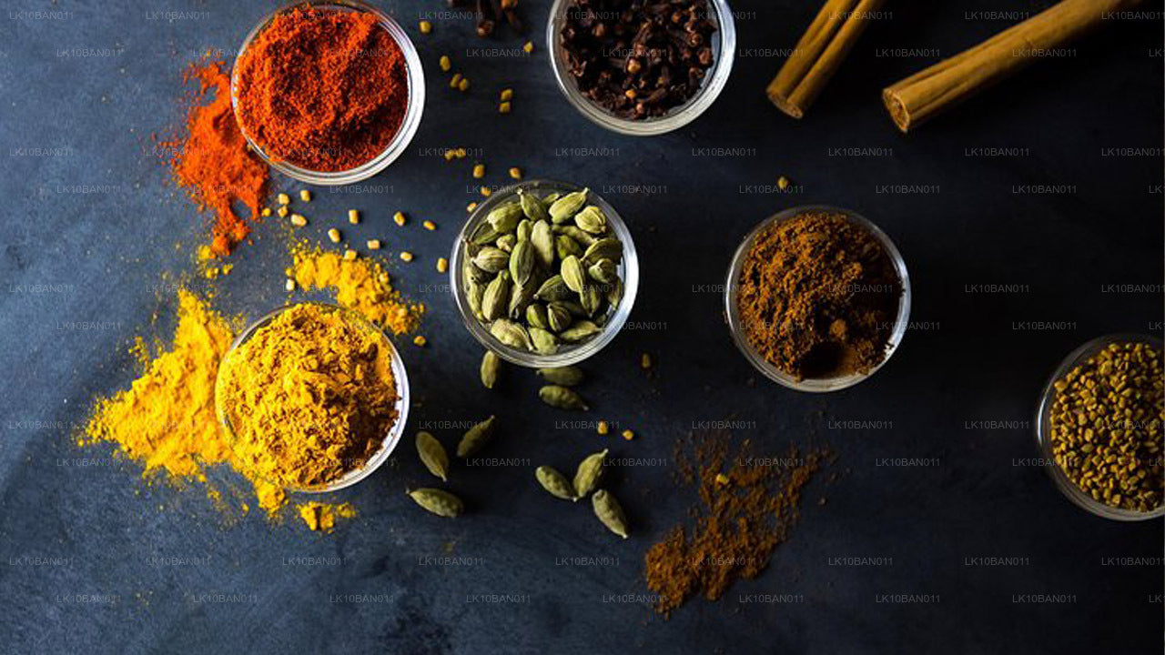 Kulinarische Expedition (11 Tage)