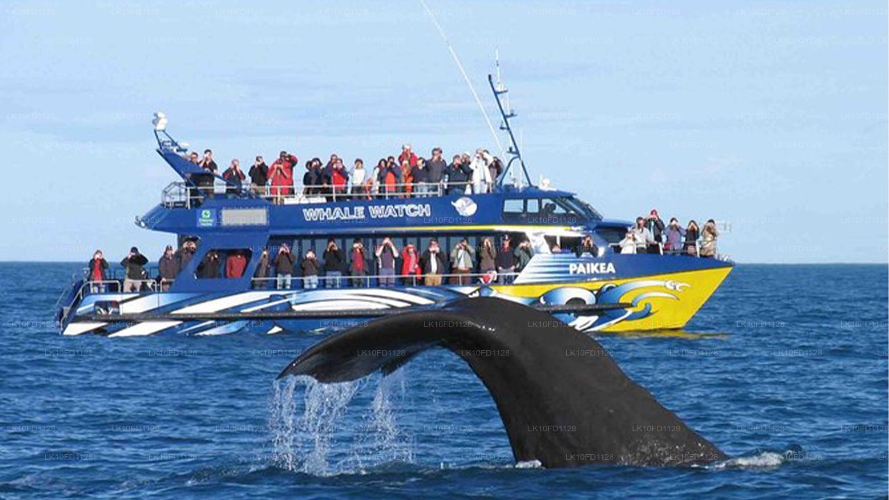 Wildtiertour mit Vögeln und Säugetieren (15 Tage)