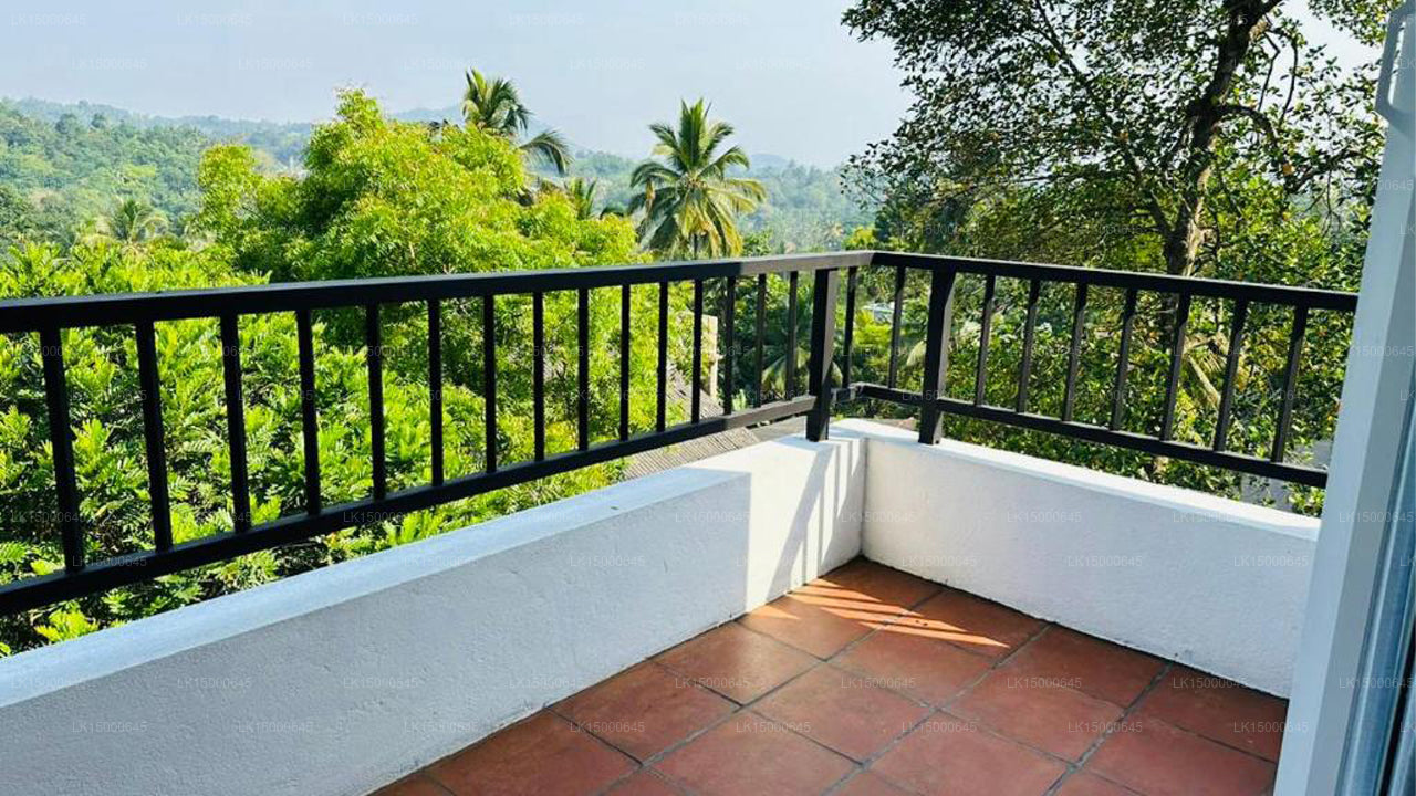 Kandy Hub Gästehaus, Kandy