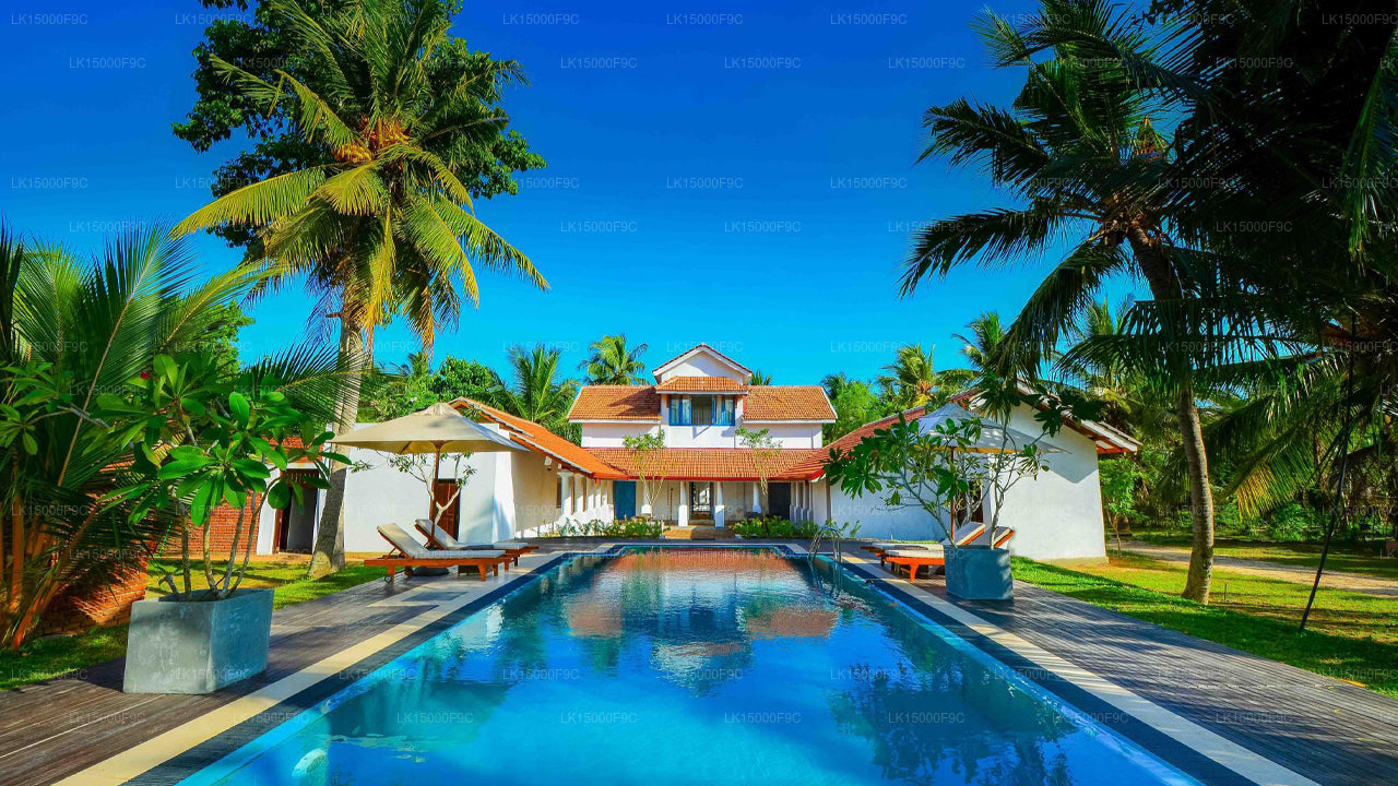 Satiana-Sammlung, Tangalle