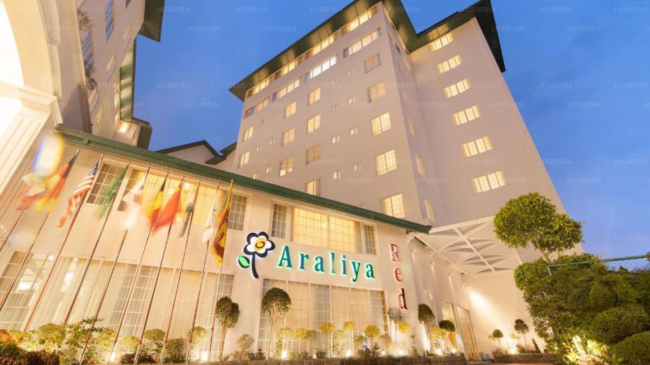 Araliya Rot, Nuwara Eliya 