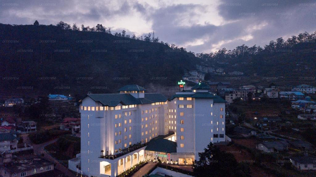 Araliya Rot, Nuwara Eliya 