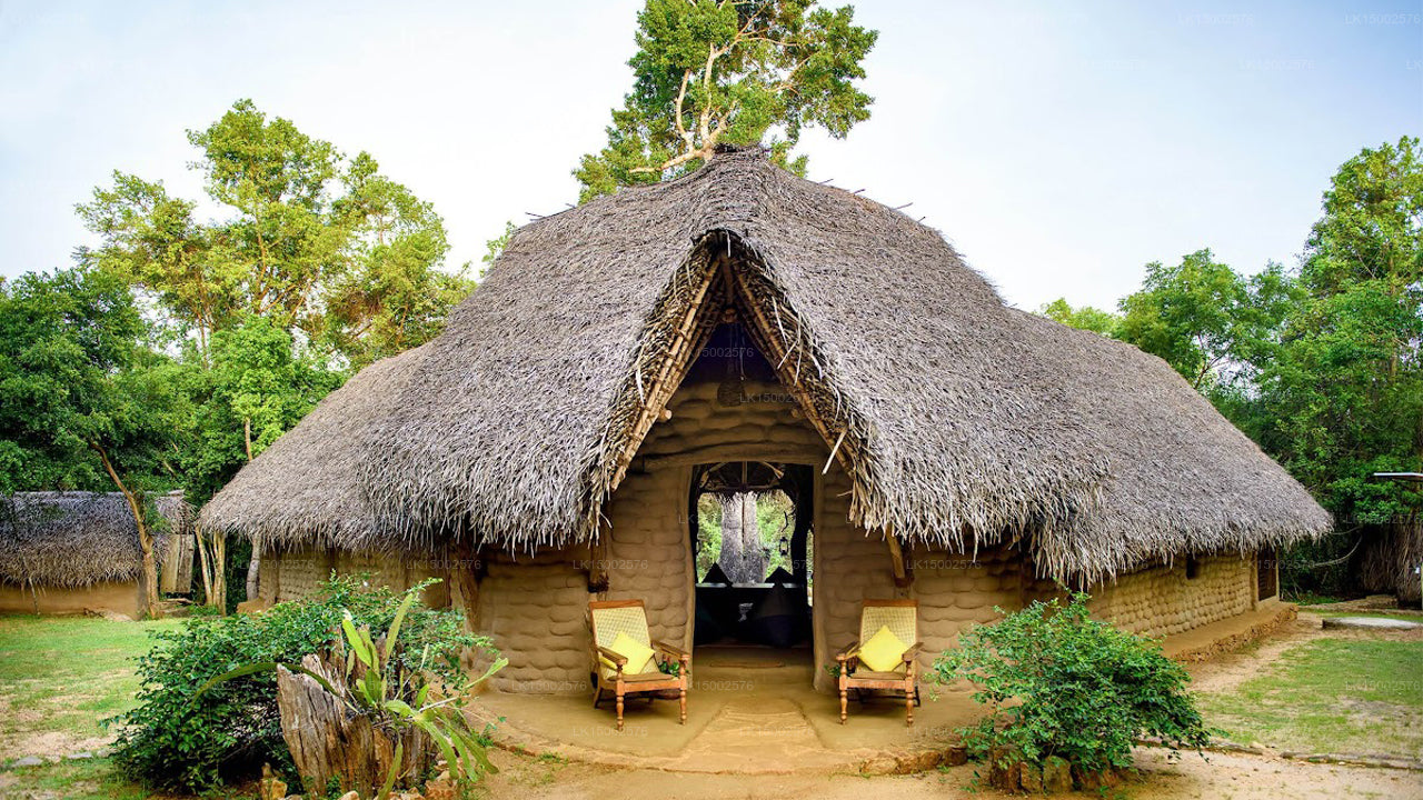 Das Schlammhaus, Anamaduwa 