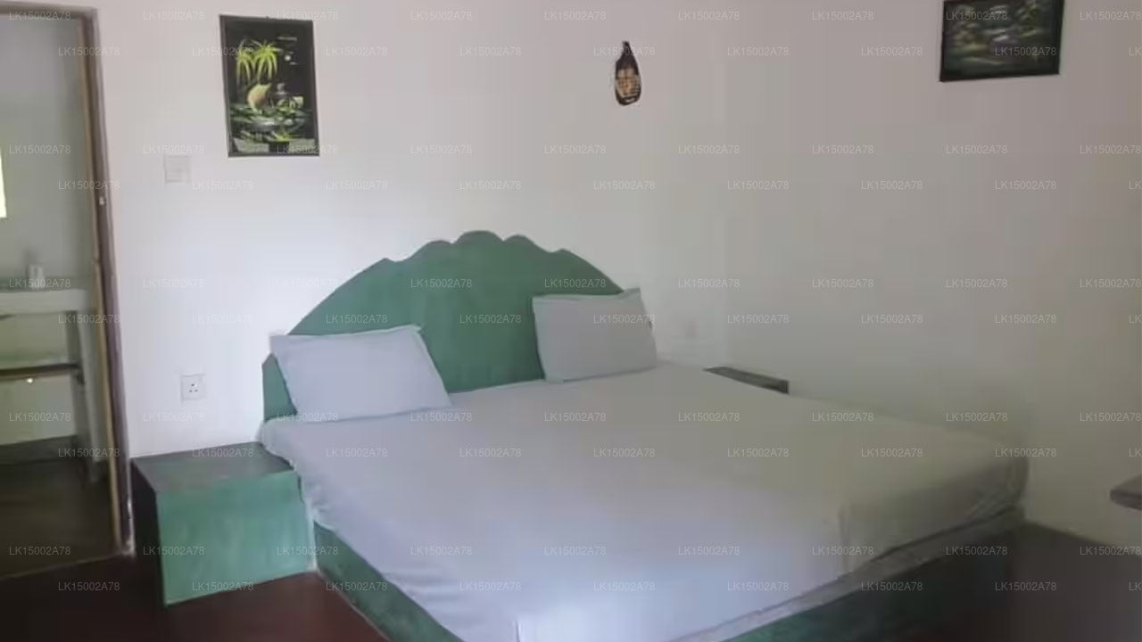Stardust Beach Hotel, Arugam Bay 