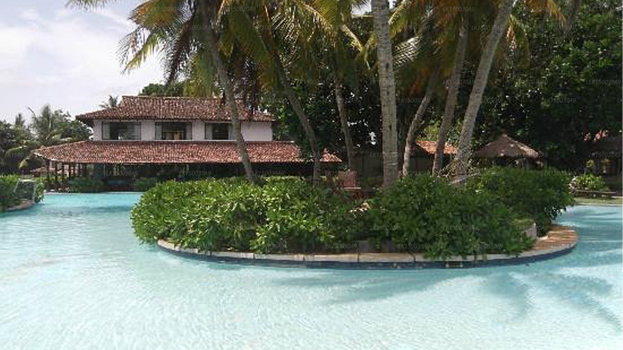 Kosgoda Beach Resort, Kosgoda 