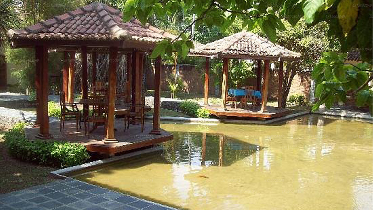 Kosgoda Beach Resort, Kosgoda 