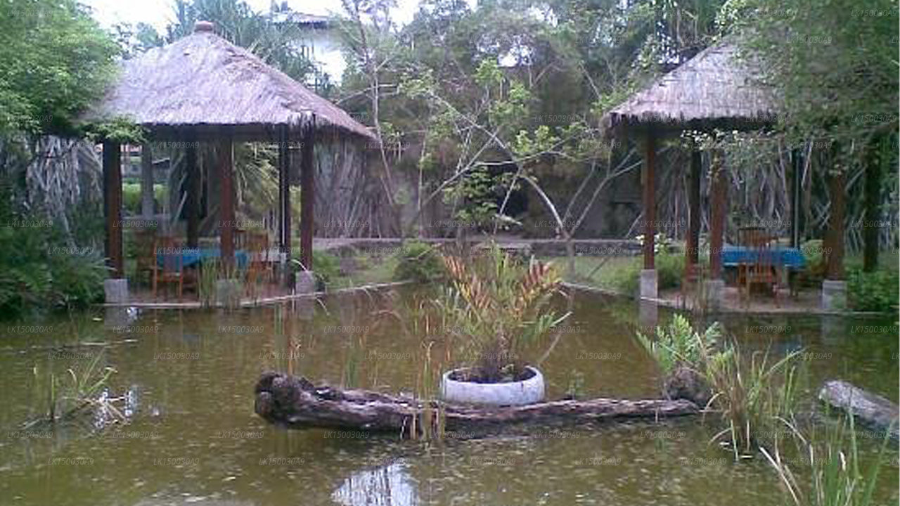 Kosgoda Beach Resort, Kosgoda 