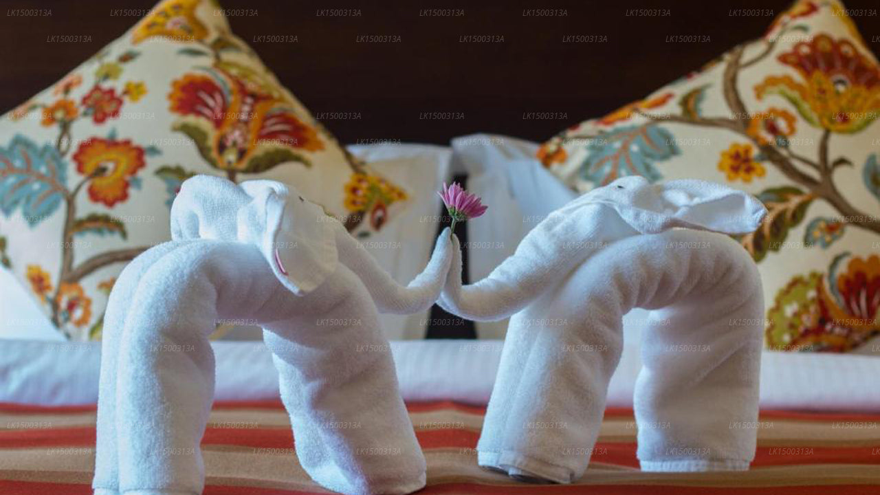 Rokoko-Residenz, Colombo