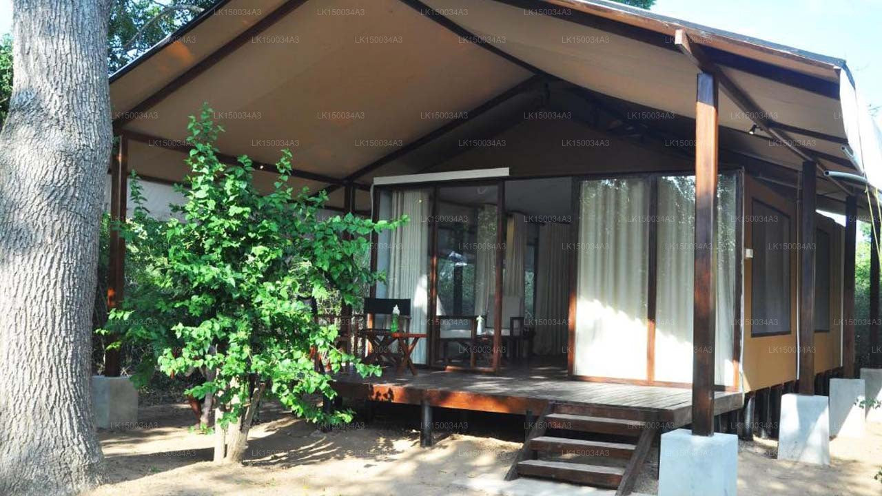 Wild Trails Yala von Suri, Yala