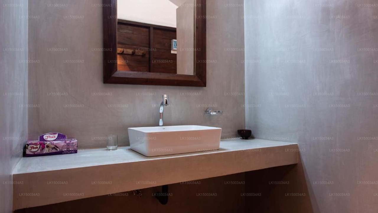 Wild Trails Yala von Suri, Yala