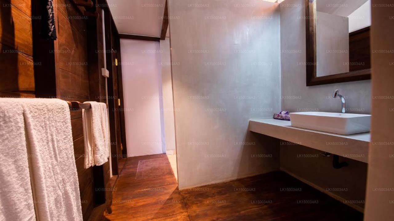 Wild Trails Yala von Suri, Yala