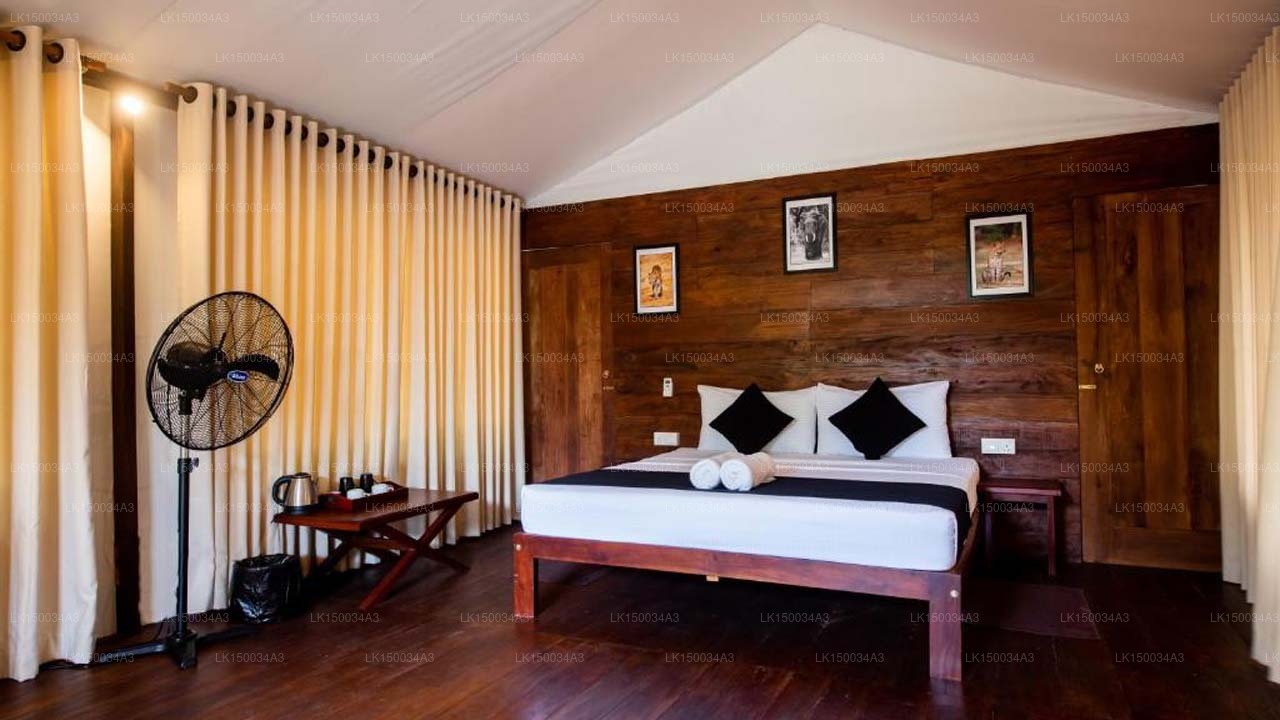 Wild Trails Yala von Suri, Yala