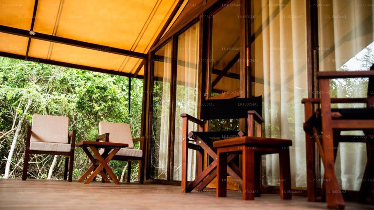 Wild Trails Yala von Suri, Yala