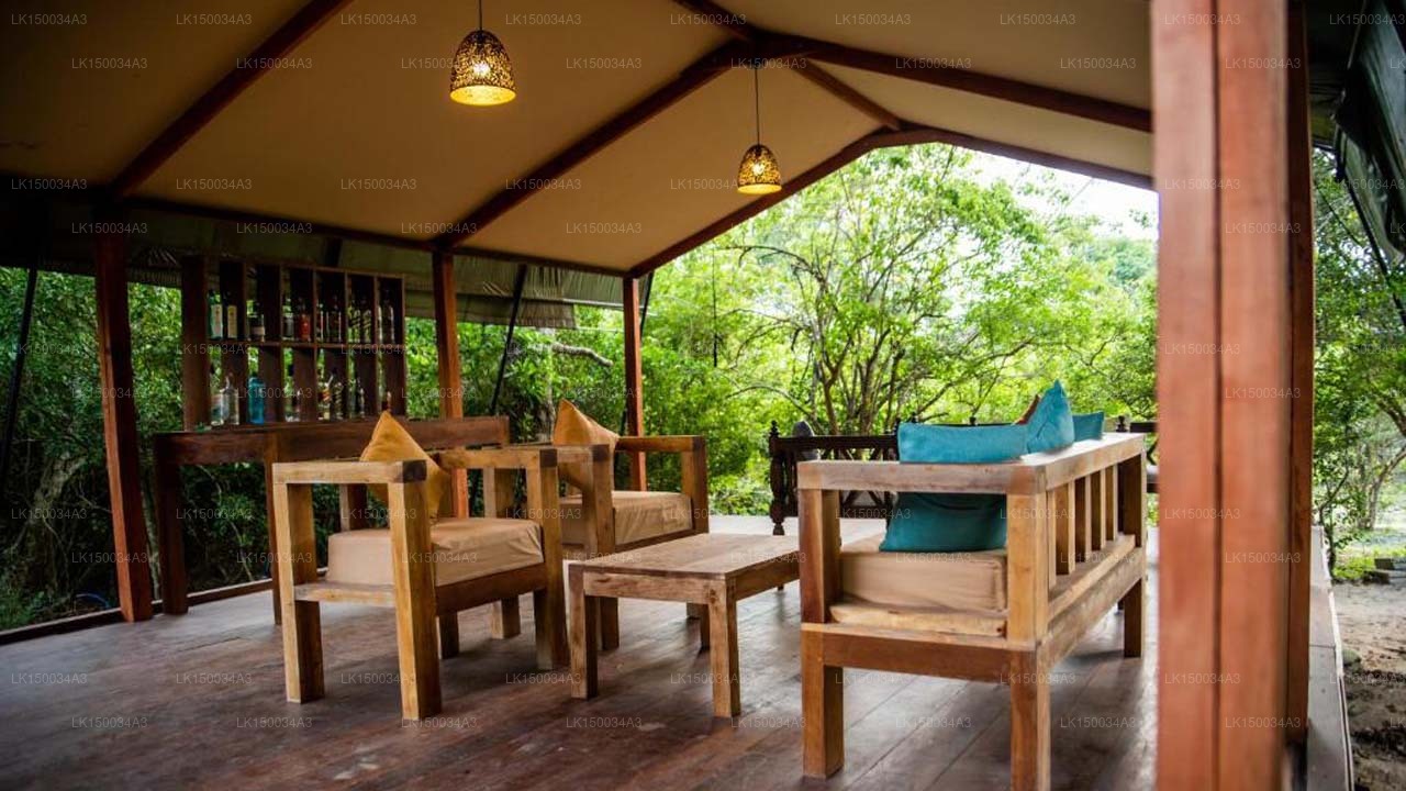 Wild Trails Yala von Suri, Yala