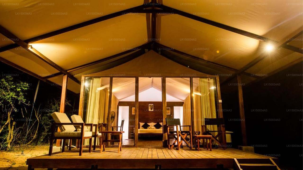 Wild Trails Yala von Suri, Yala