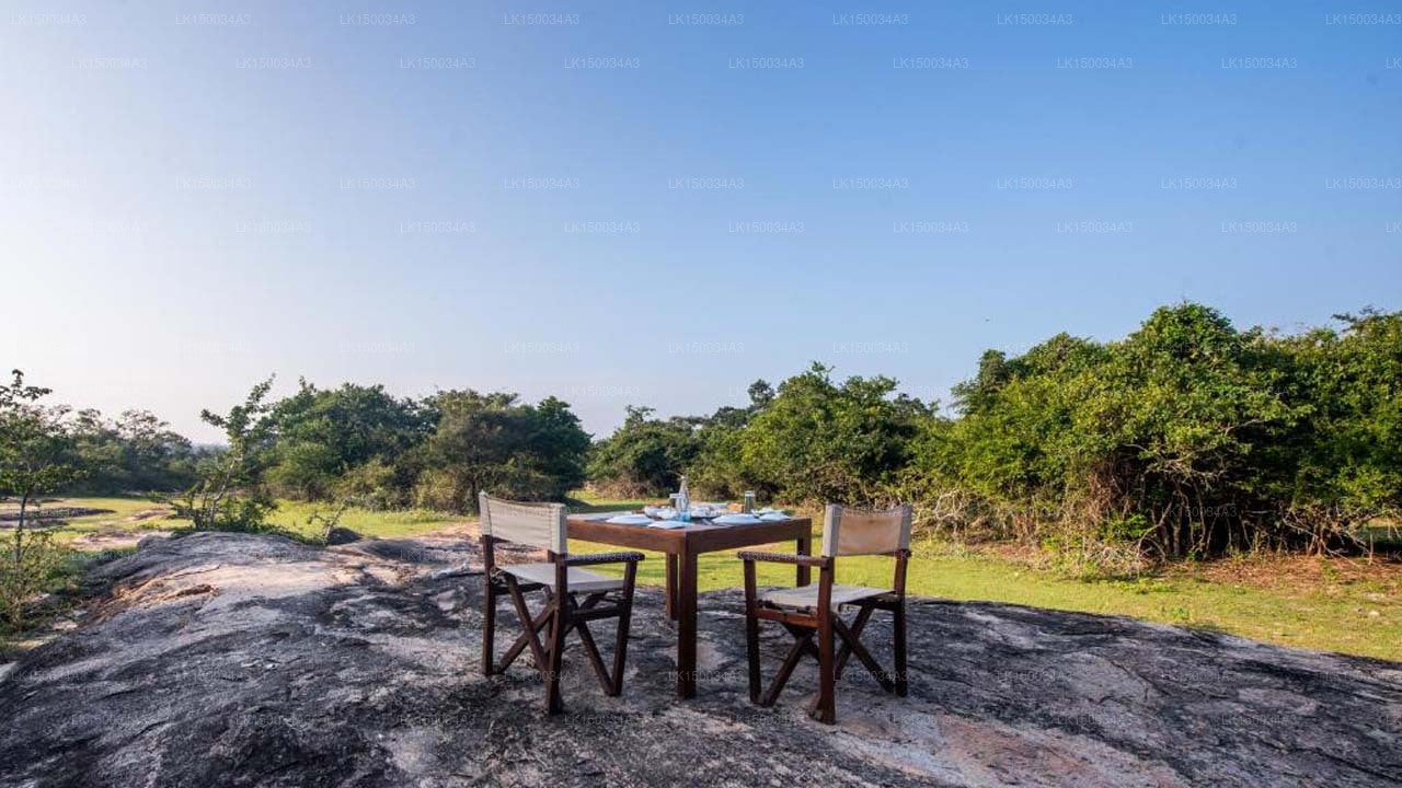 Wild Trails Yala von Suri, Yala