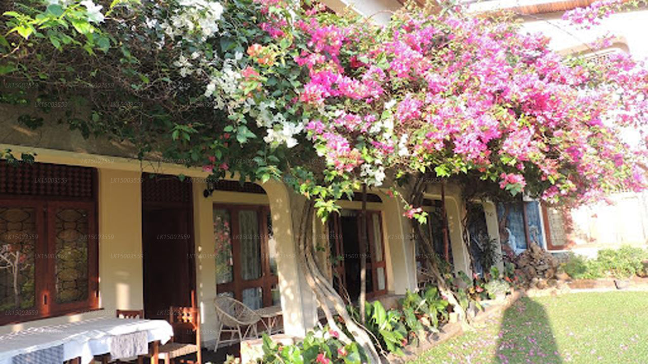 Royal Tourist Lodge, Kandy 