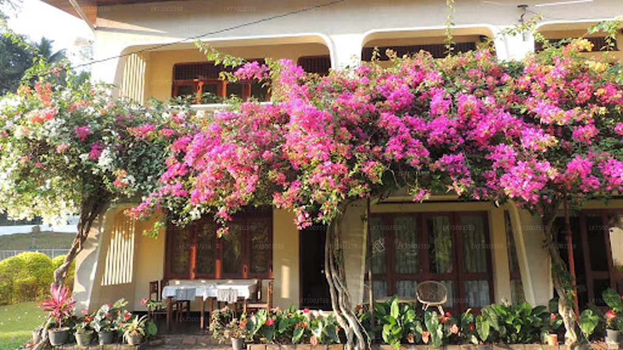 Royal Tourist Lodge, Kandy 