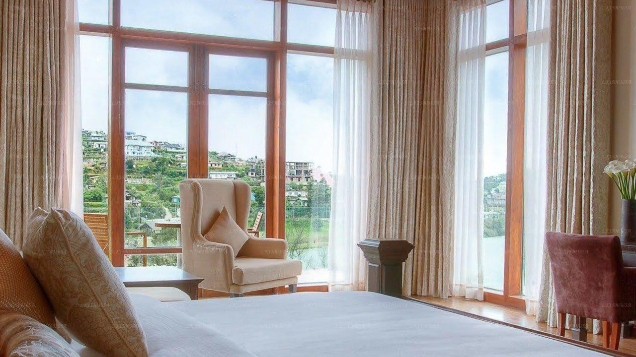 Teepflanze, Nuwara Eliya