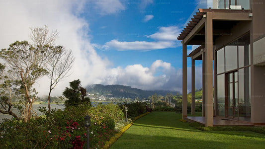 Teepflanze, Nuwara Eliya