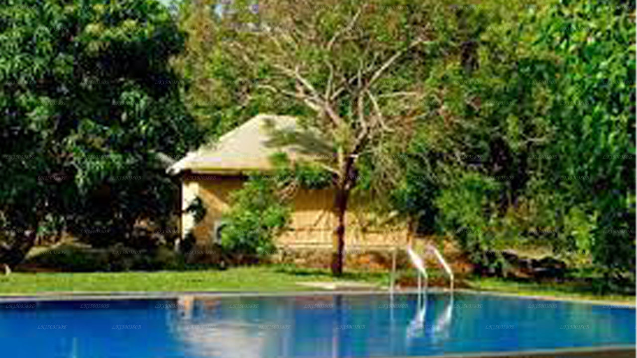 Das Yala-Abenteuer, Tissamaharamaya