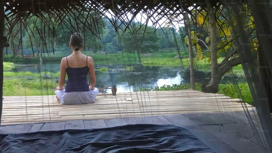Ulpotha Yoga &amp; Ayurveda Retreat, Embogama 