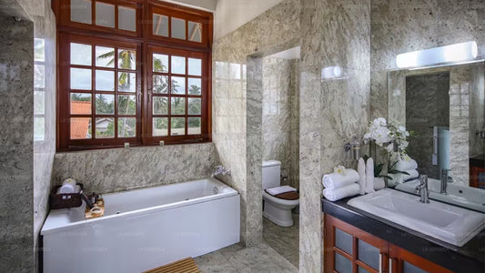 Satiana-Sammlung, Galle