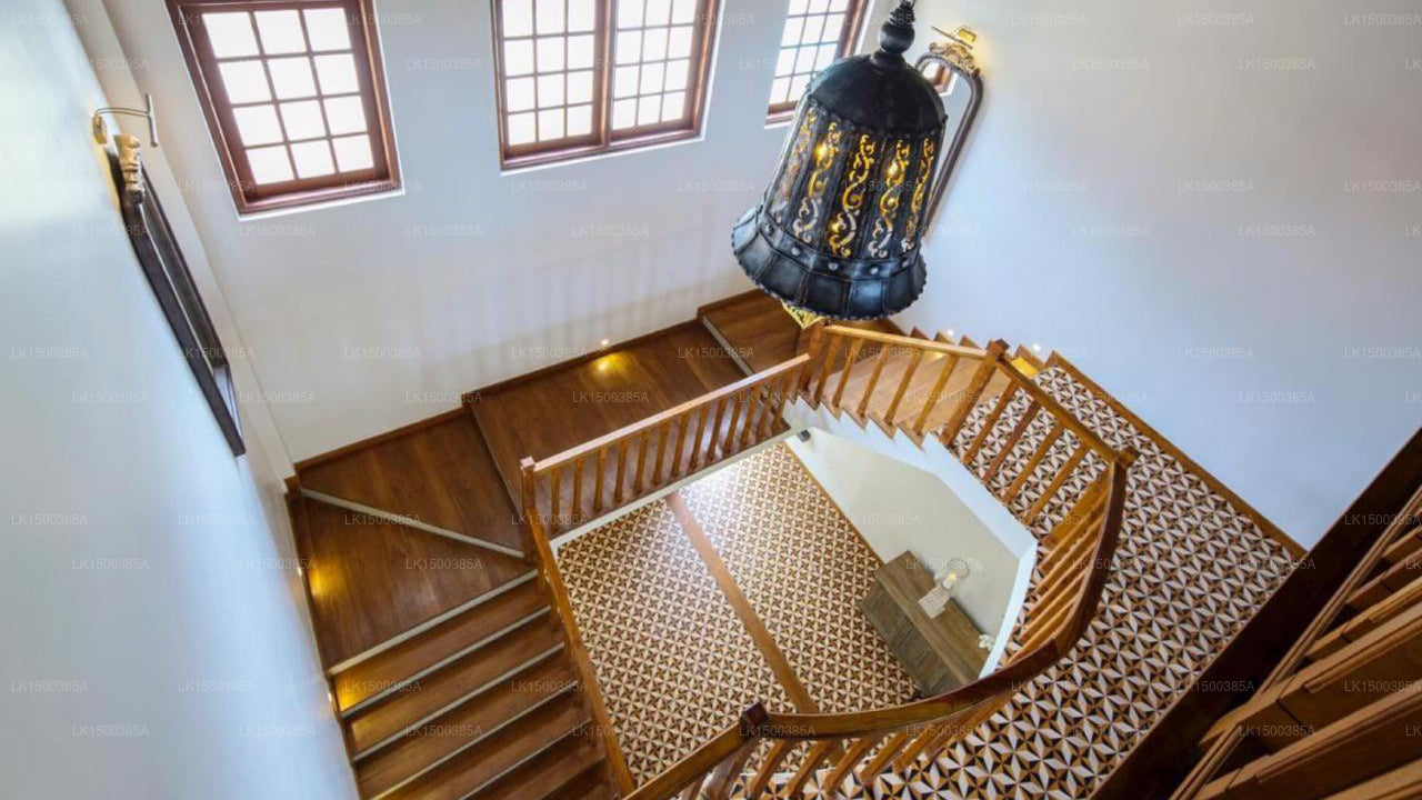 Satiana-Sammlung, Galle