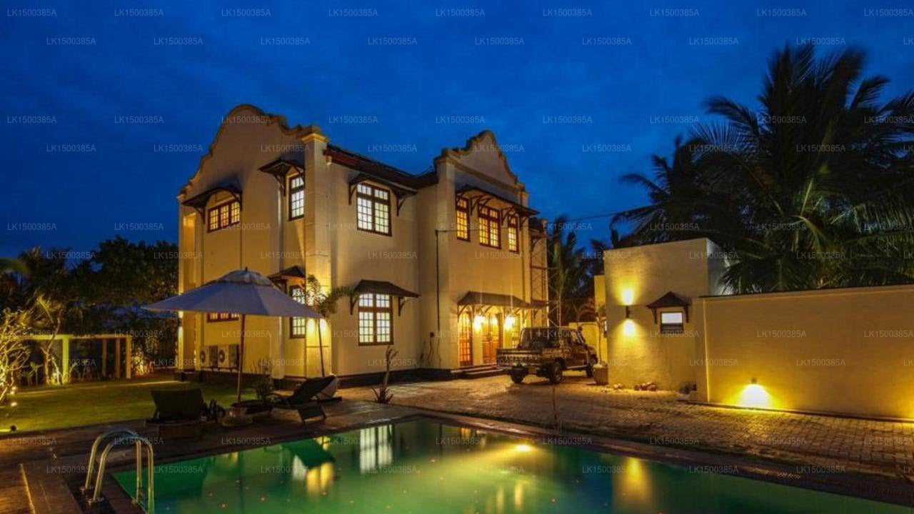 Satiana-Sammlung, Galle