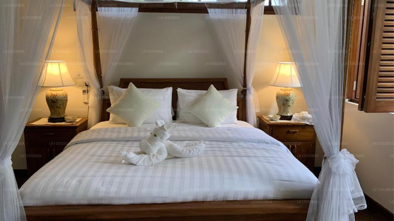 Satiana-Sammlung, Galle