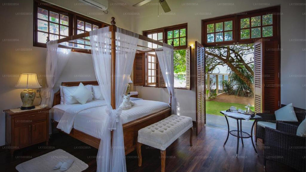 Satiana-Sammlung, Galle