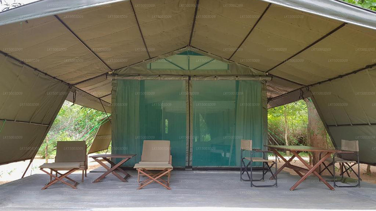 Tree Tops Jungle Lodge, Yala 