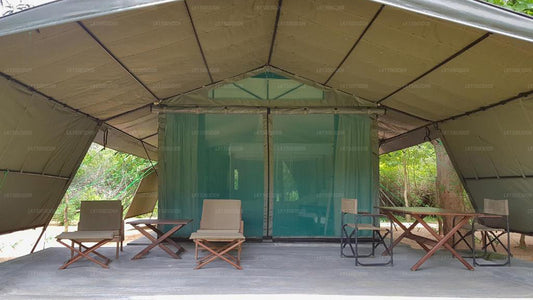 Tree Tops Jungle Lodge, Yala 