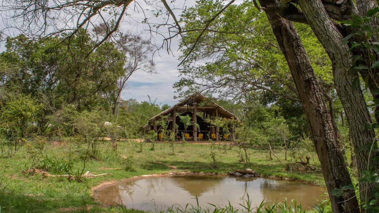 Tree Tops Jungle Lodge, Yala 