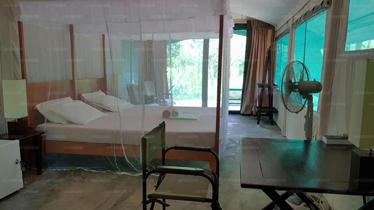 Tree Tops Jungle Lodge, Yala 