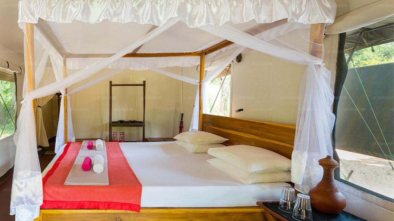 Tree Tops Jungle Lodge, Yala 