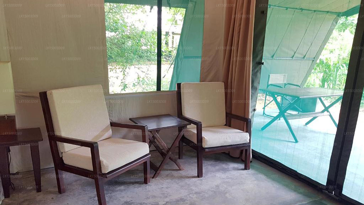 Tree Tops Jungle Lodge, Yala 