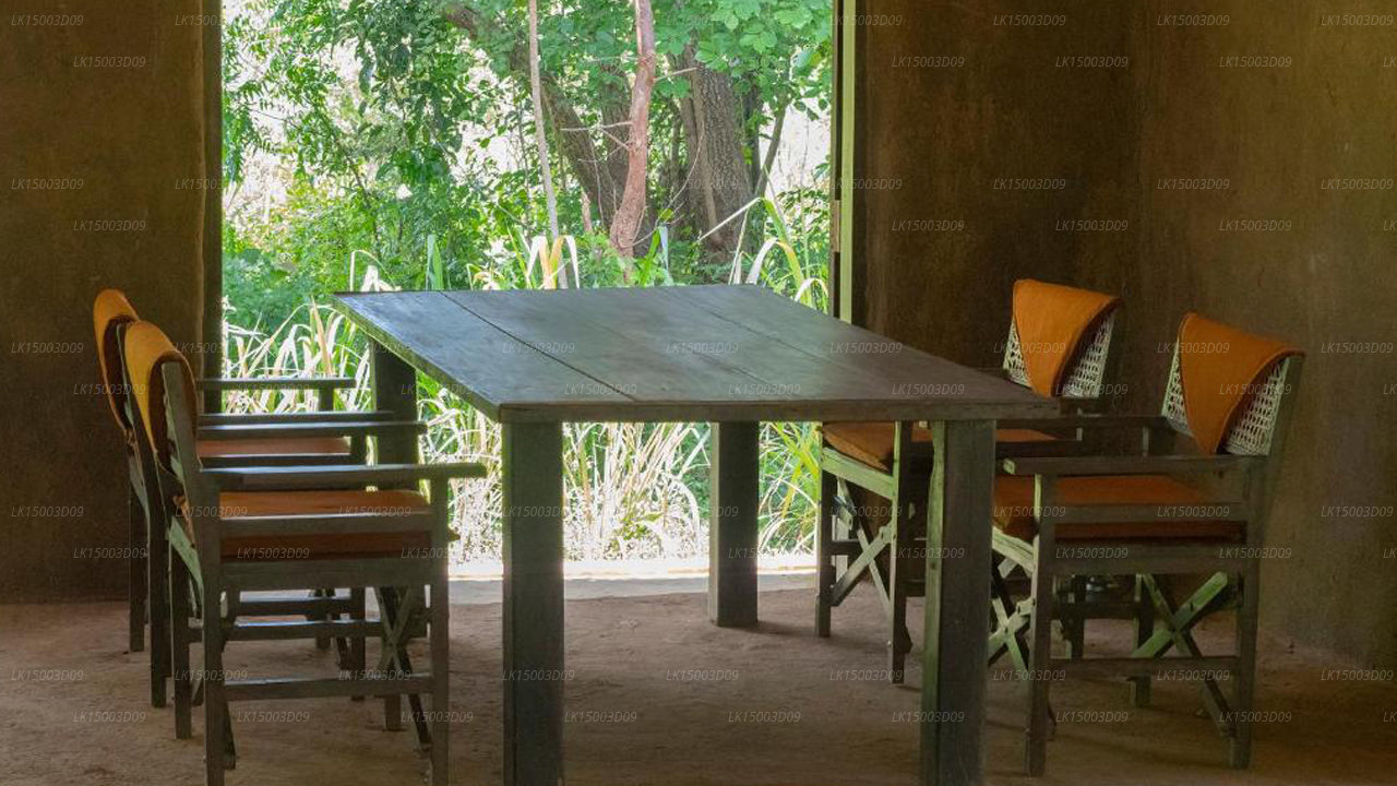 Tree Tops Jungle Lodge, Yala 